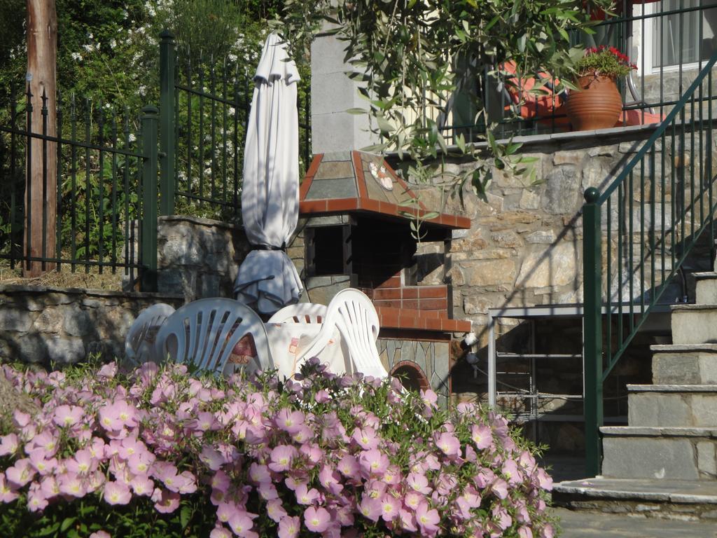 Nestor Apartments Chrisi Ammoudia Rum bild