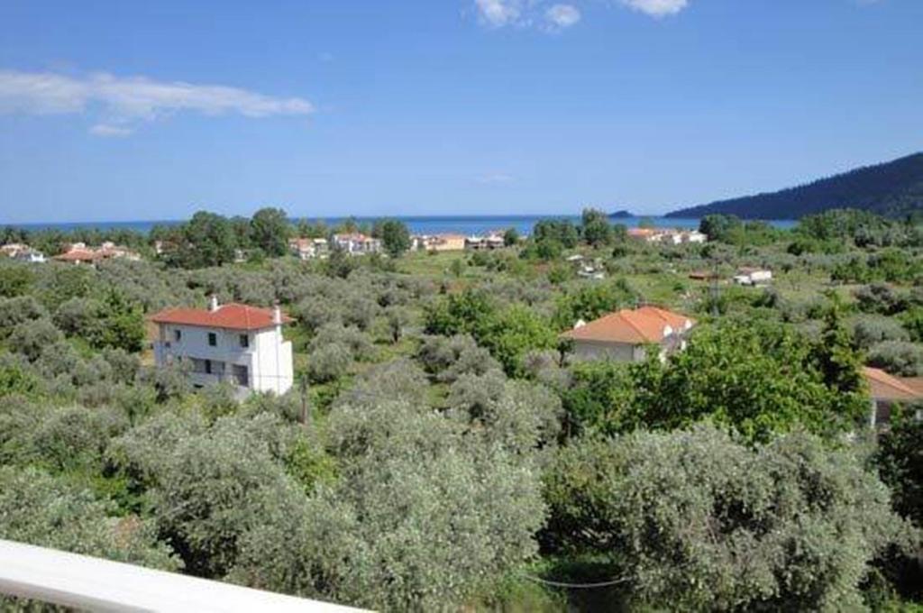 Nestor Apartments Chrisi Ammoudia Rum bild